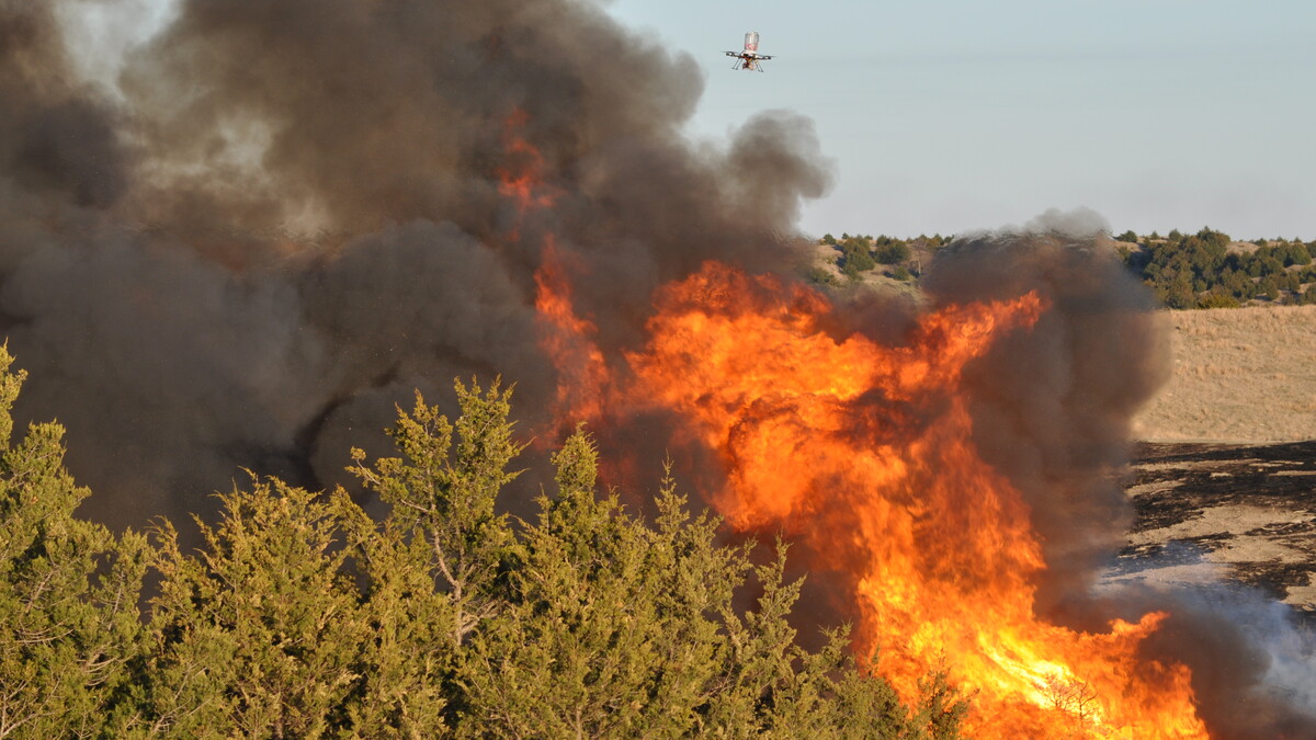 land burn
