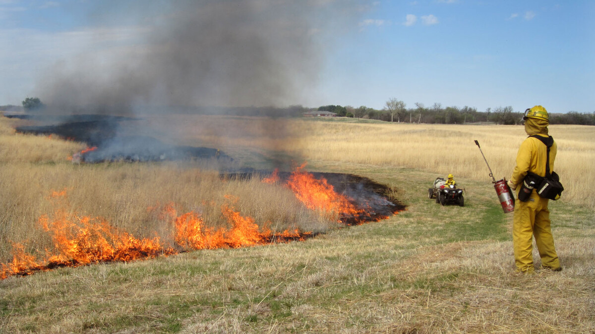 prescribed fire