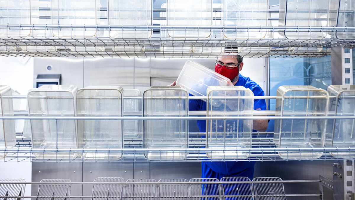 technician inspecting bins