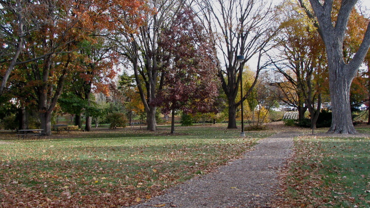 Maxwell Arboretum