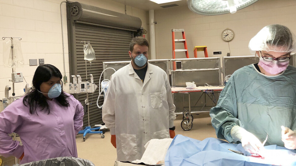 University of Nebraska–Lincoln’s Institutional Animal Care Program