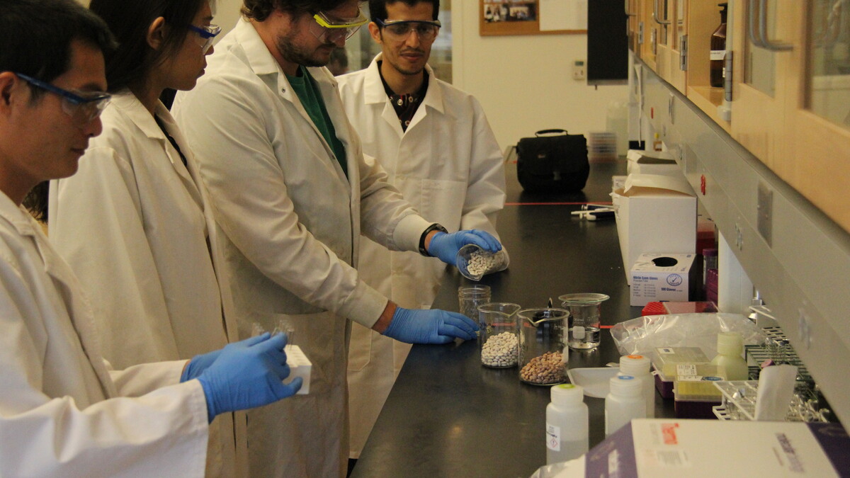 Ph.D graduate student Nguyen Tien An (left), graduate student Haowen Qiu, research technologist Richard Zbasnik and graduate student Sami Althwab working in a lab. Links to larger image.