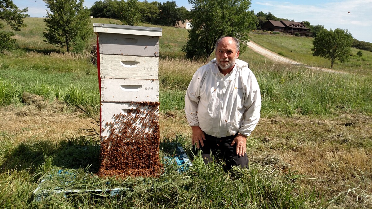 A man with a bee hive. Links to larger image.