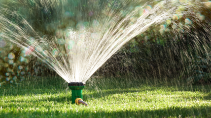 lawn sprinkler