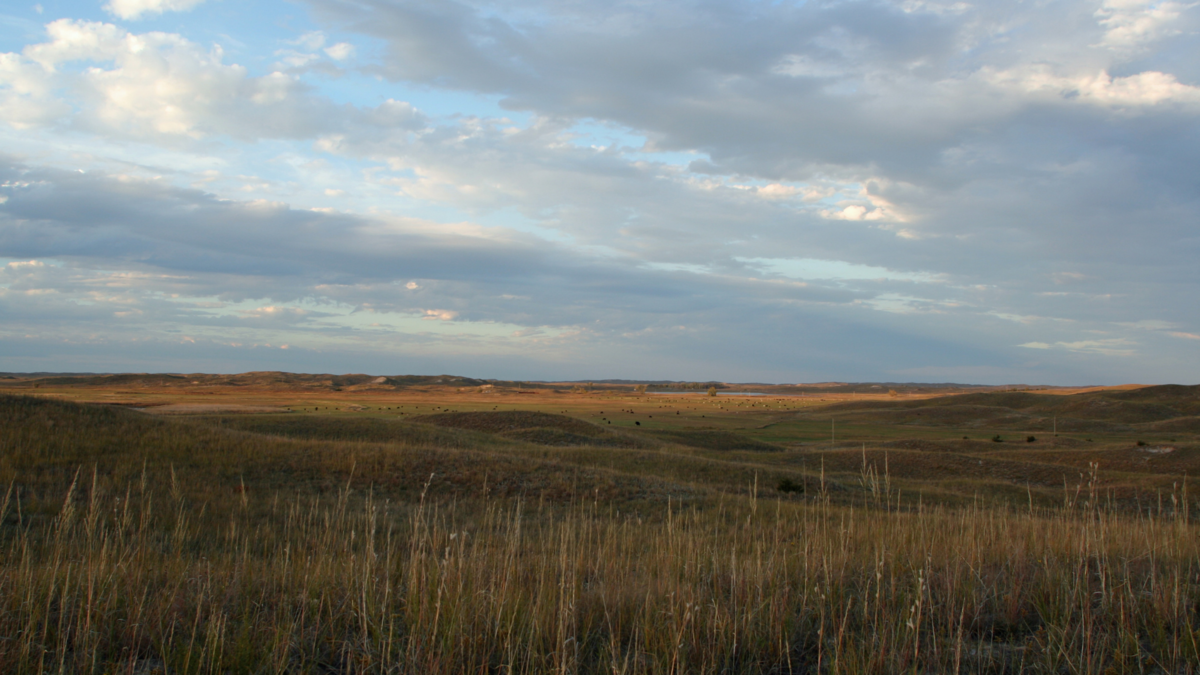 Love of the Land Conference