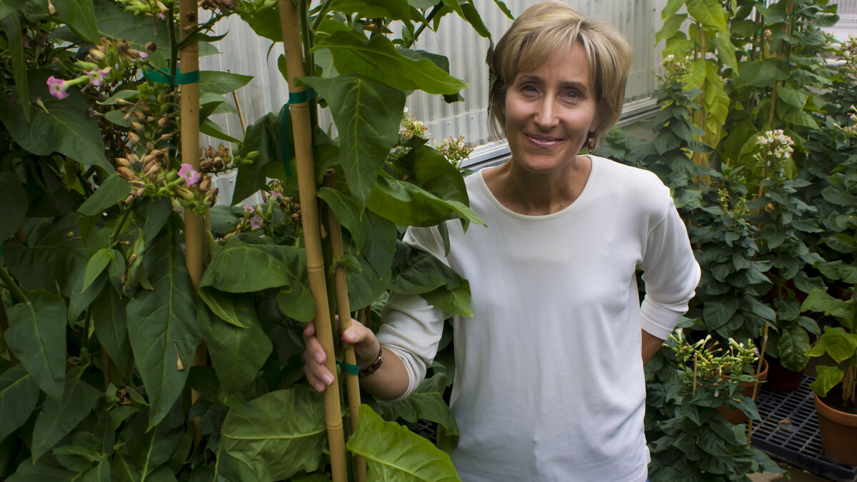 A woman standing with her plants. Links to larger image.