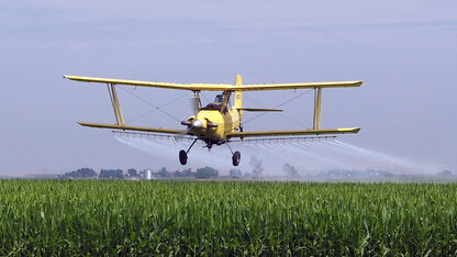 Sprayer flying over cornfield 