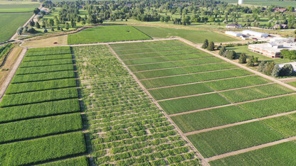 Panhandle Research, Extension and Education Center