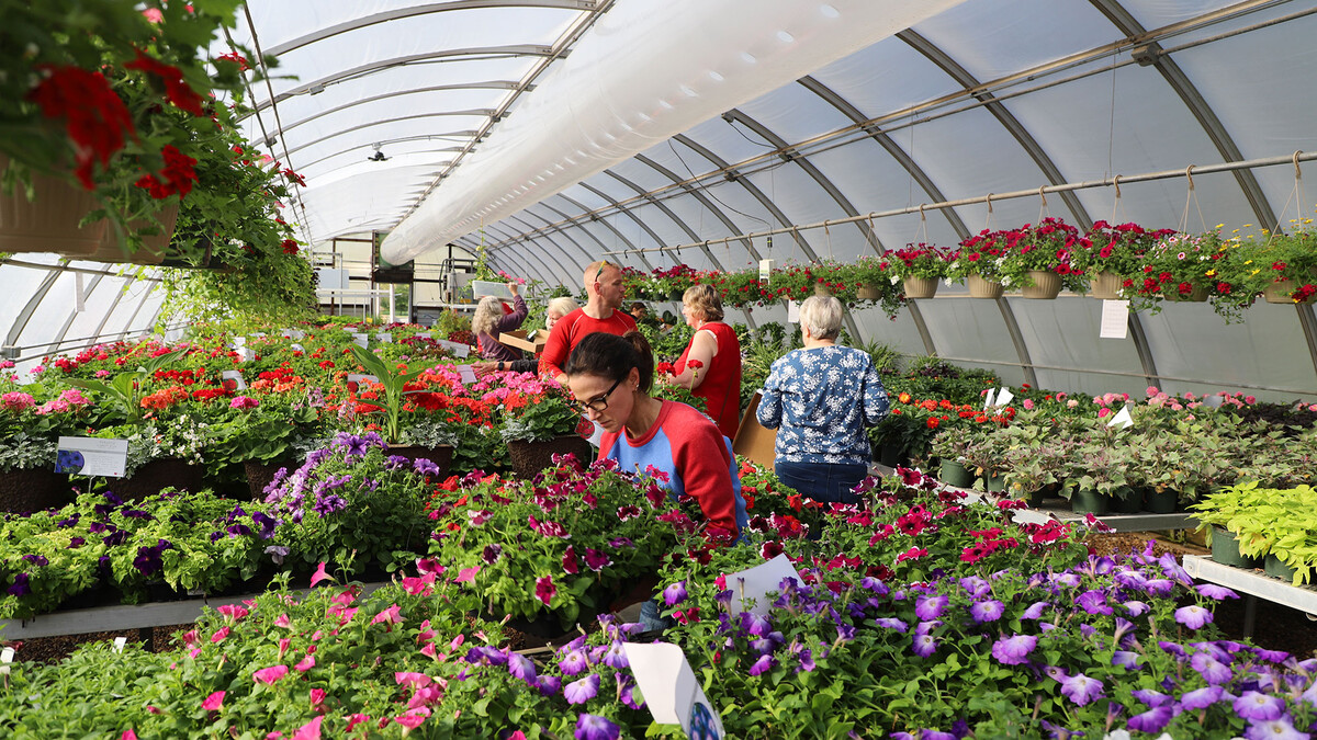 plant sale