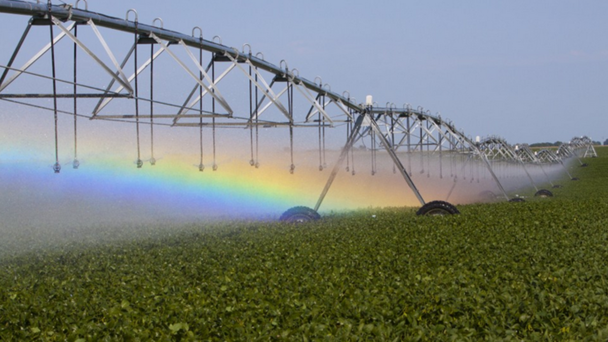 Irrigation