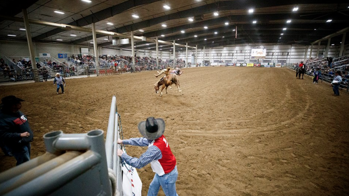 Rodeo