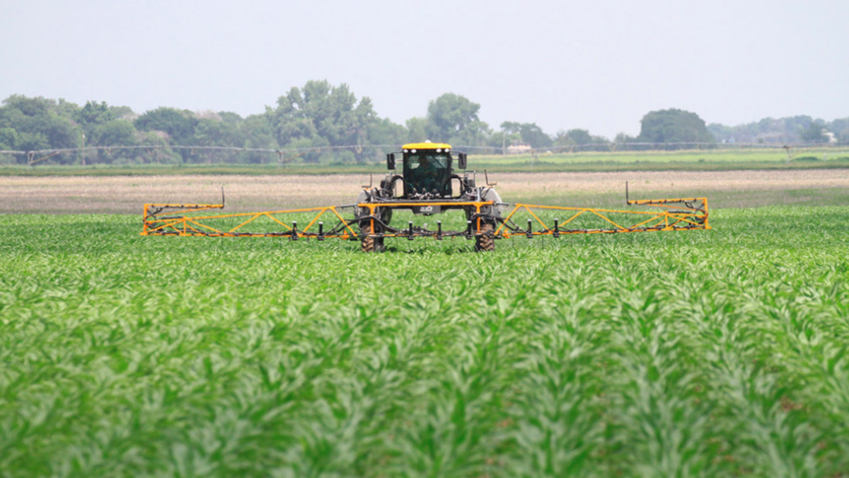 Farm operators and agronomists from across the state are invited to attend a Nebraska On-Farm Research Network meeting at a location near them.