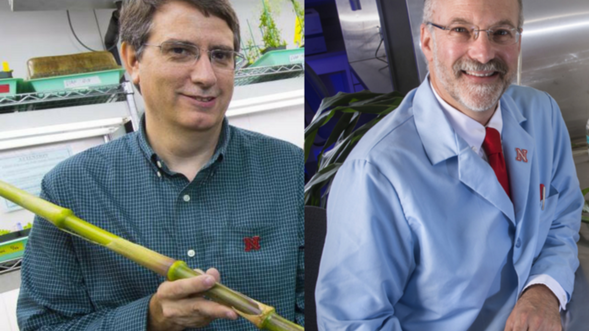 ASPB Fellows