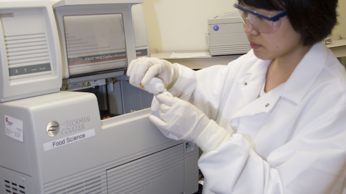 A student working in a lab. Links to larger image.