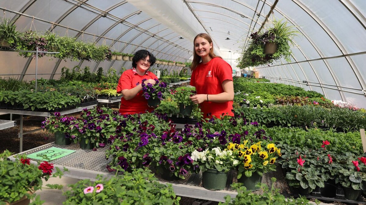 greenhouse