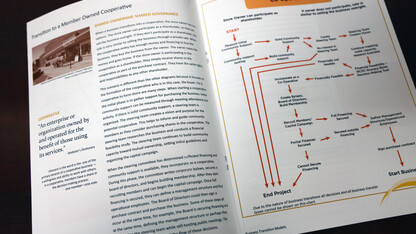 Business Transitions Models