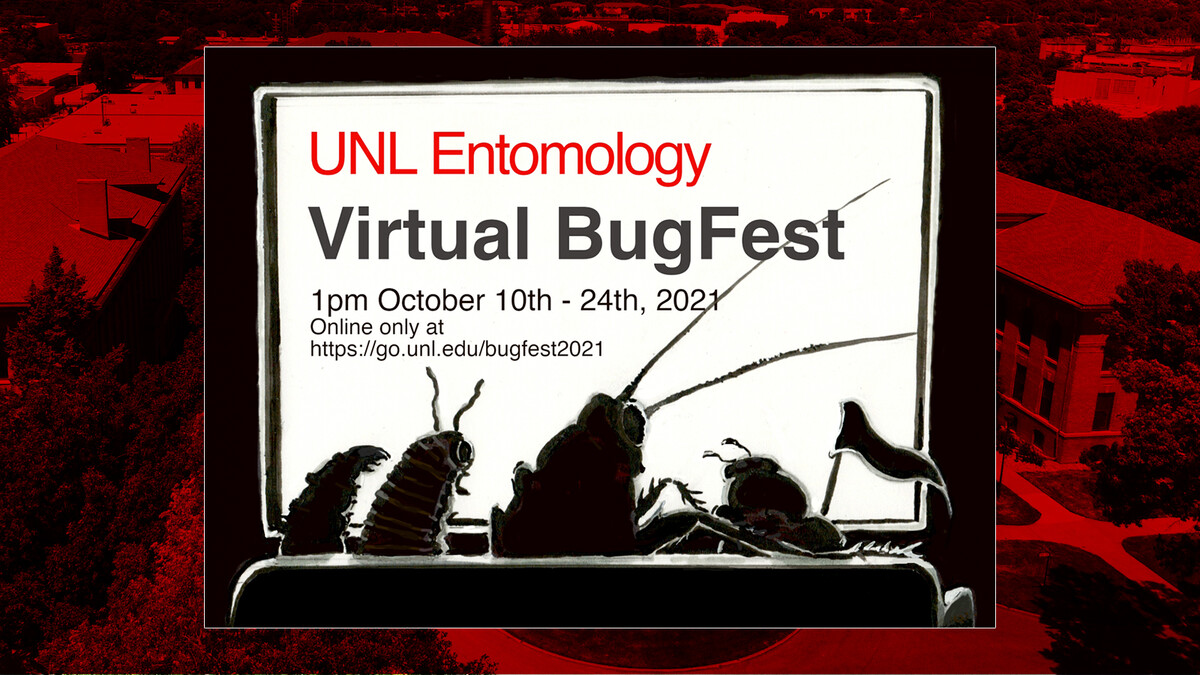 BugFest