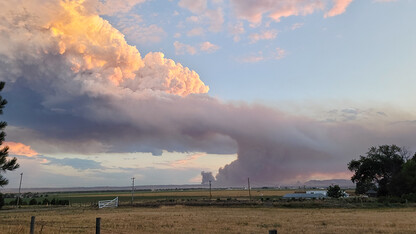 Carter Canyon wildfire