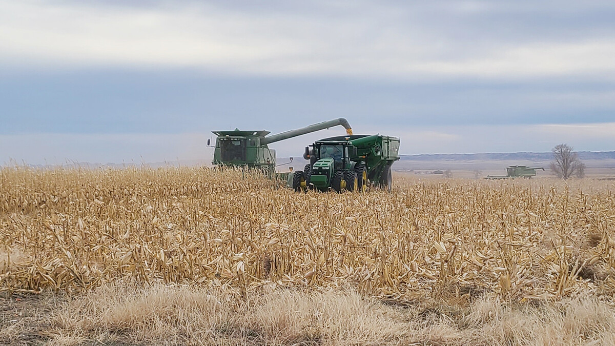 harvest 