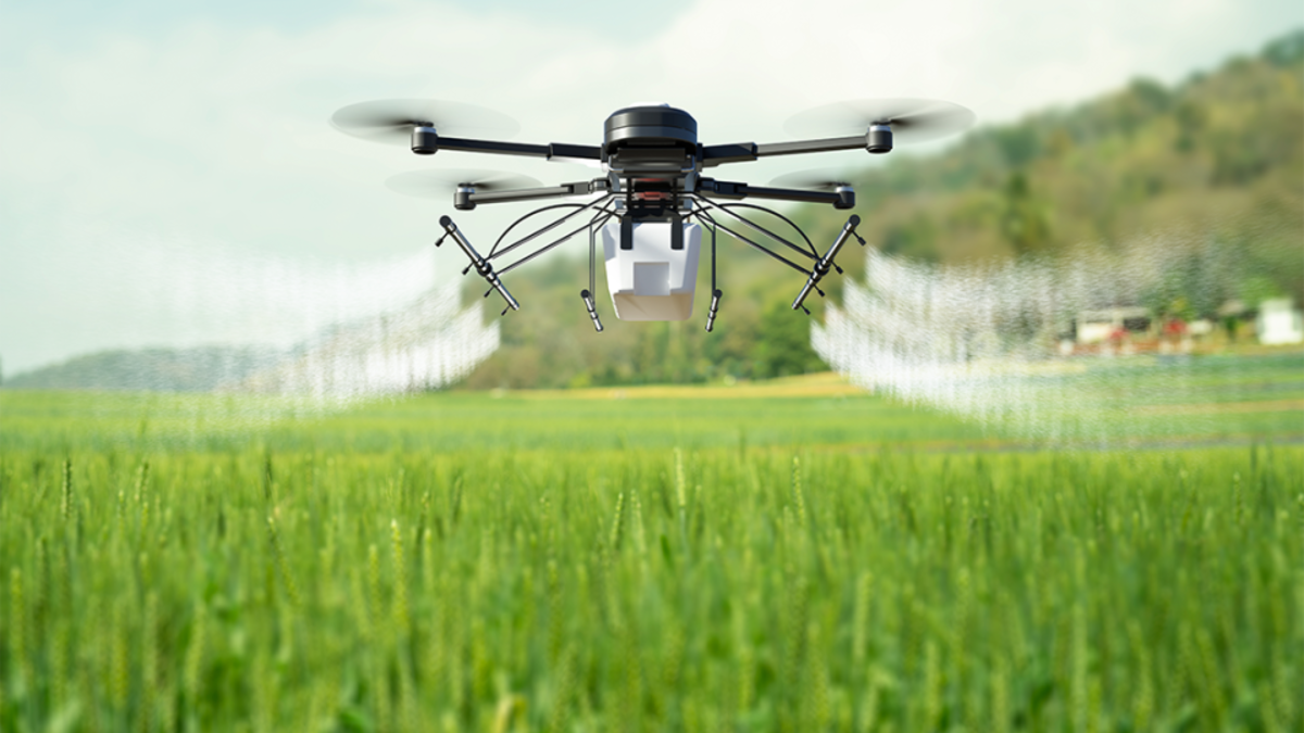 drone