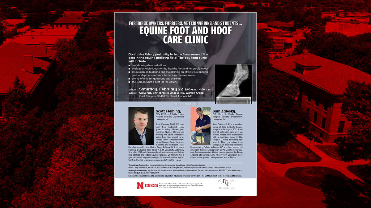equine foot and hoof care clinic flyer. Includes information in text below.