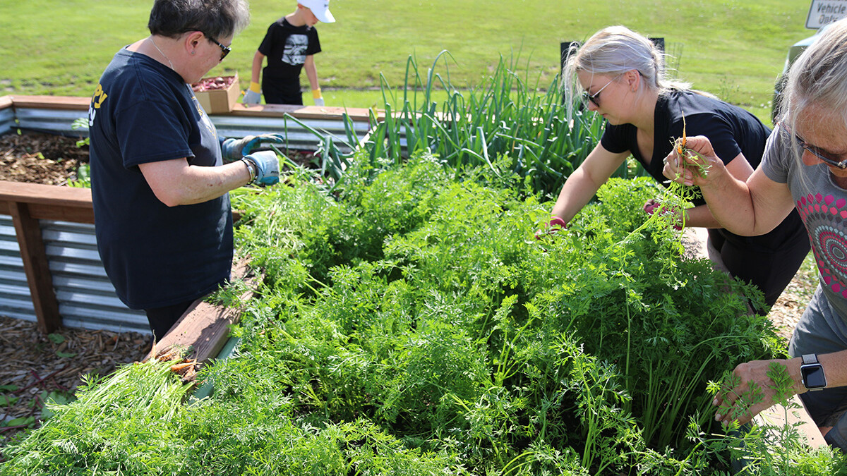 Master Gardener 