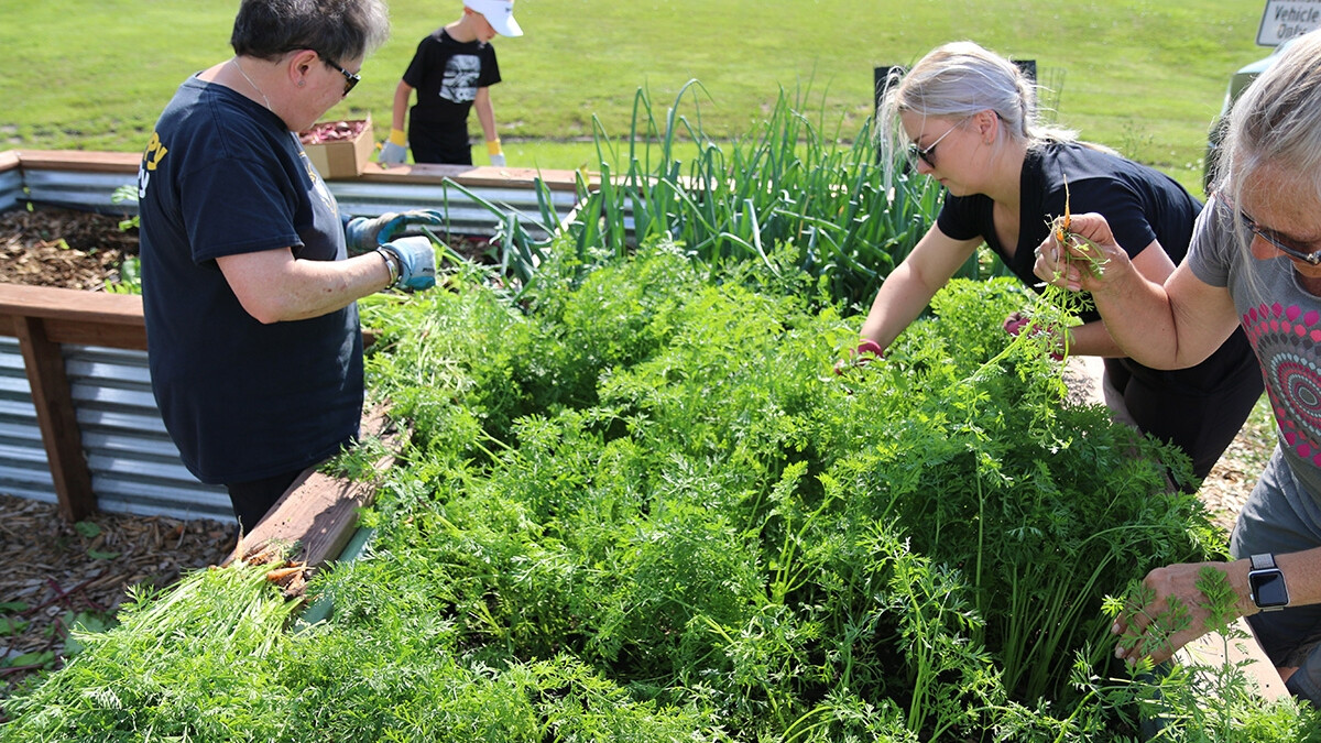 Master Gardener