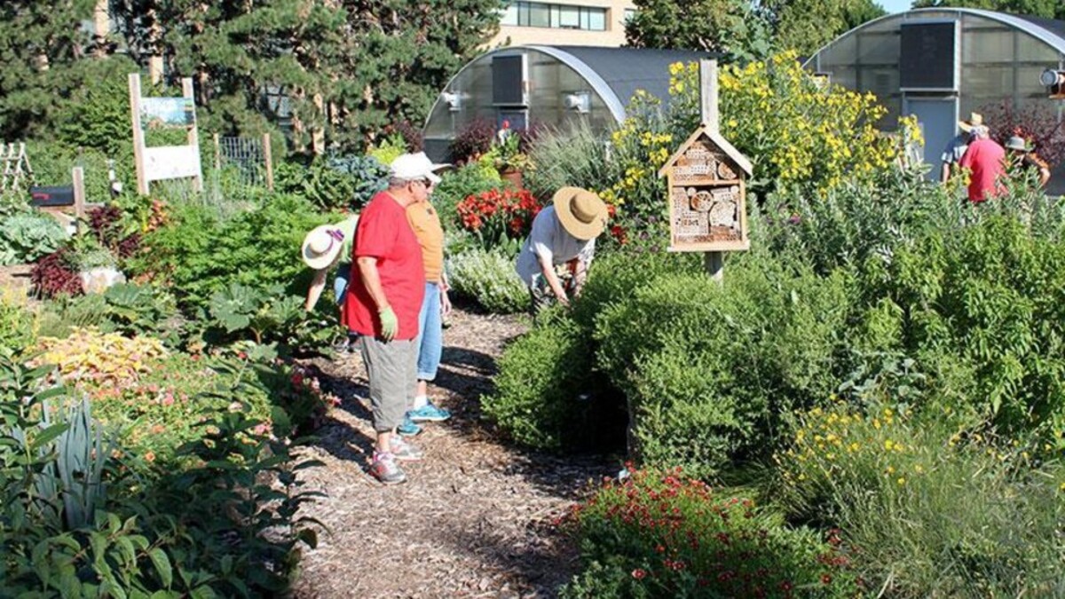 master gardener