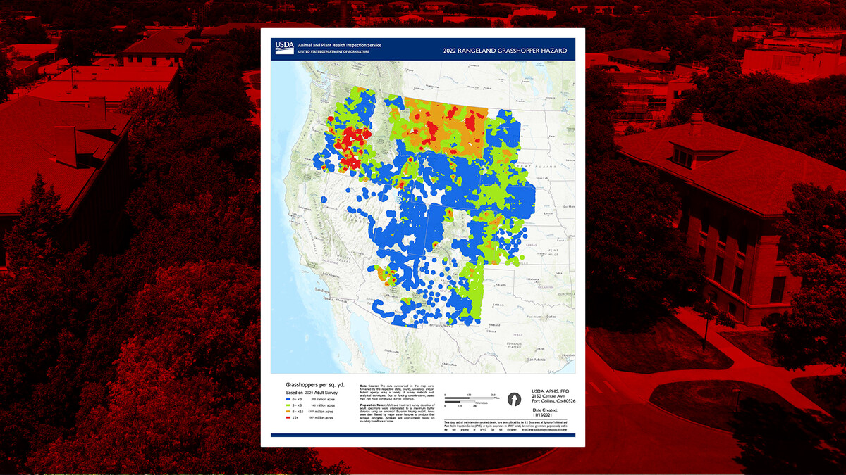  2022 rangeland grasshopper hazard