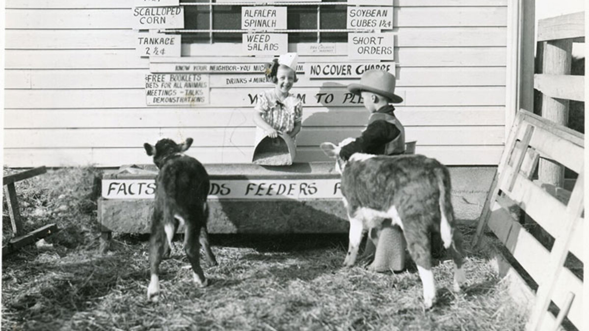 calves 