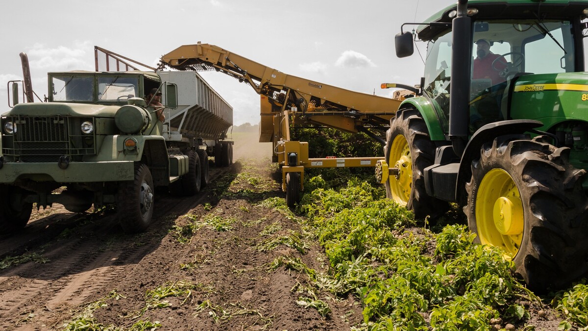 machine harvest