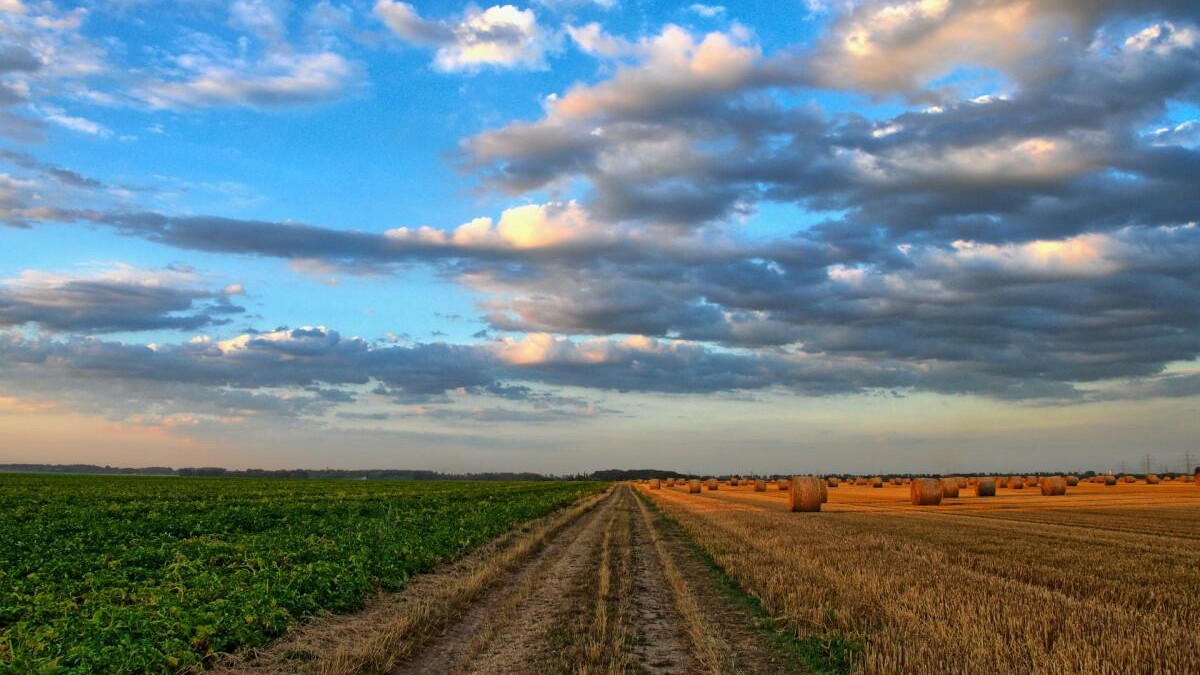 Agriculture