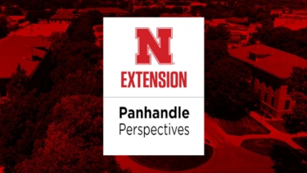 Panhandle Perspectives