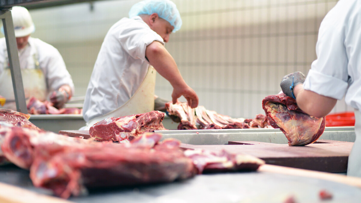 Small Meat Processing Plant of the Future