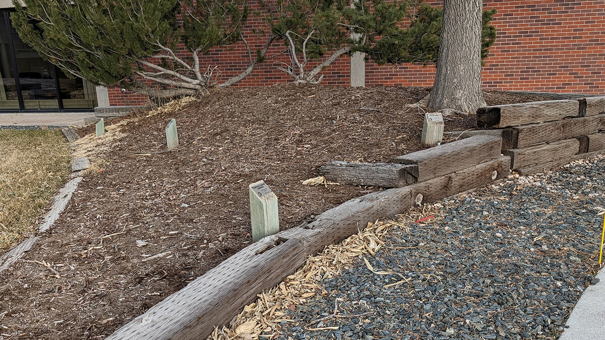 storm water drainage