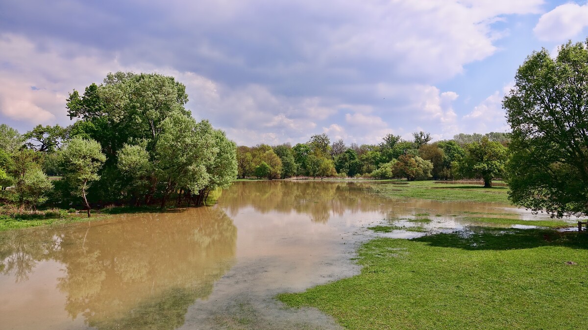 Flood 