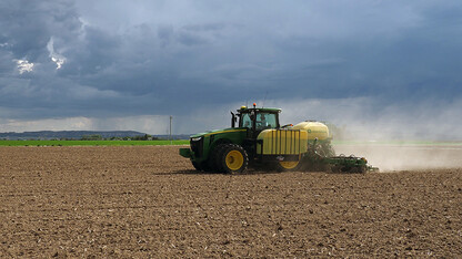 Bean Planting at GLS