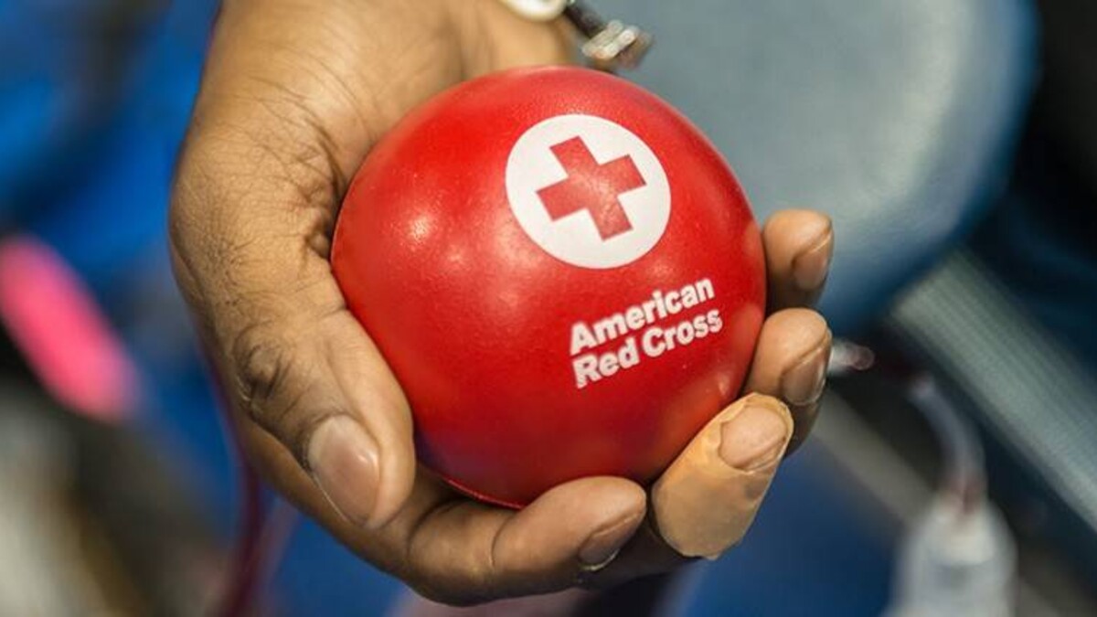 A hand holds an American Red Cross ball while donating blood.