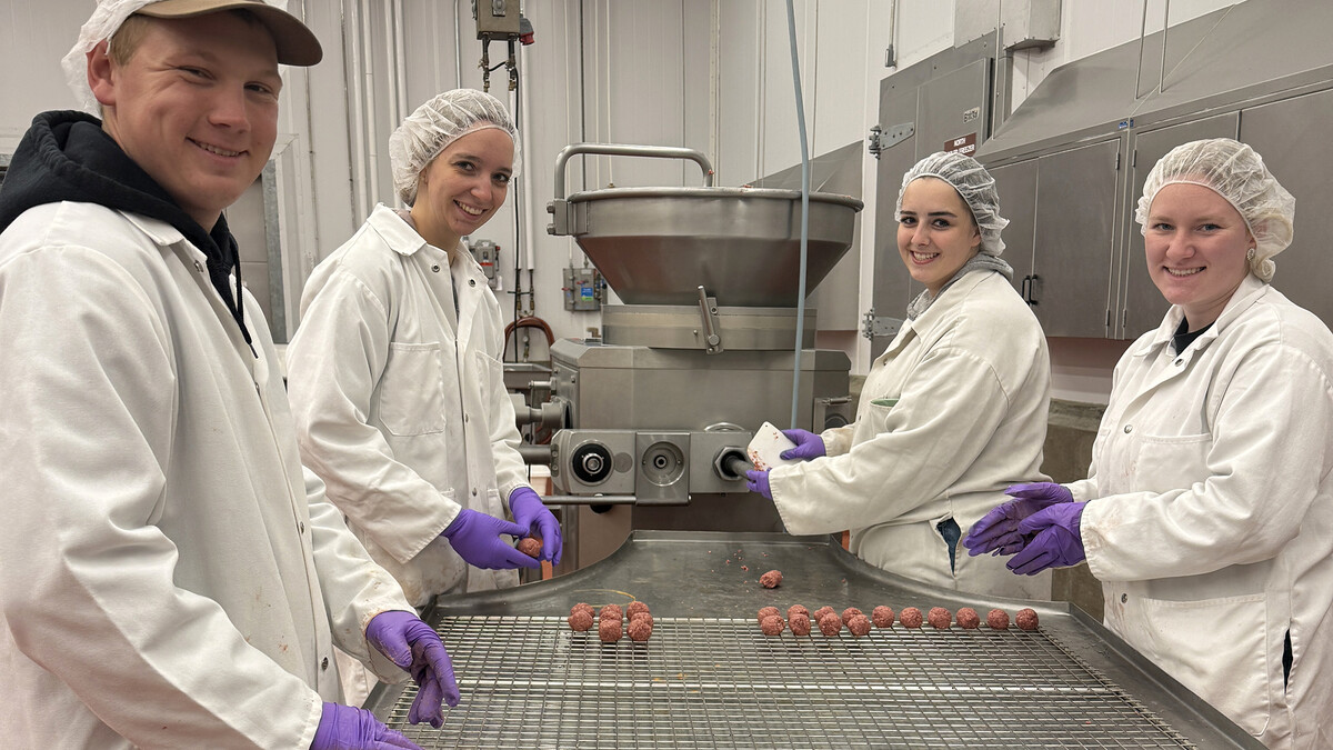 Assistant Meat Lab Manager Steven Rogers shows graduate student Kara Reynolds where to separate the neck from the chuck on a beef carcass in the Loeffel Meat Shoppe.