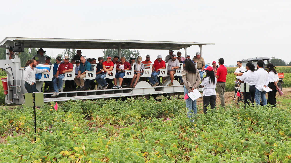 A trailer with growers stops at Dr. Bijesh Maharjan’s plot, where his students discuss their study on dry beans last year. Photo by Chabella Guzman