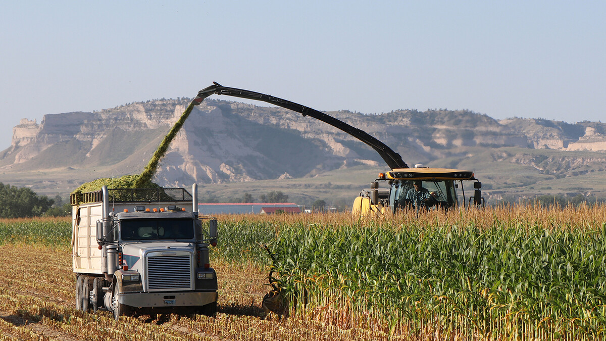field of crops with farm equipment