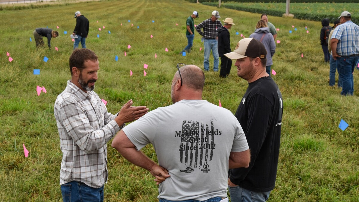 producers in the field