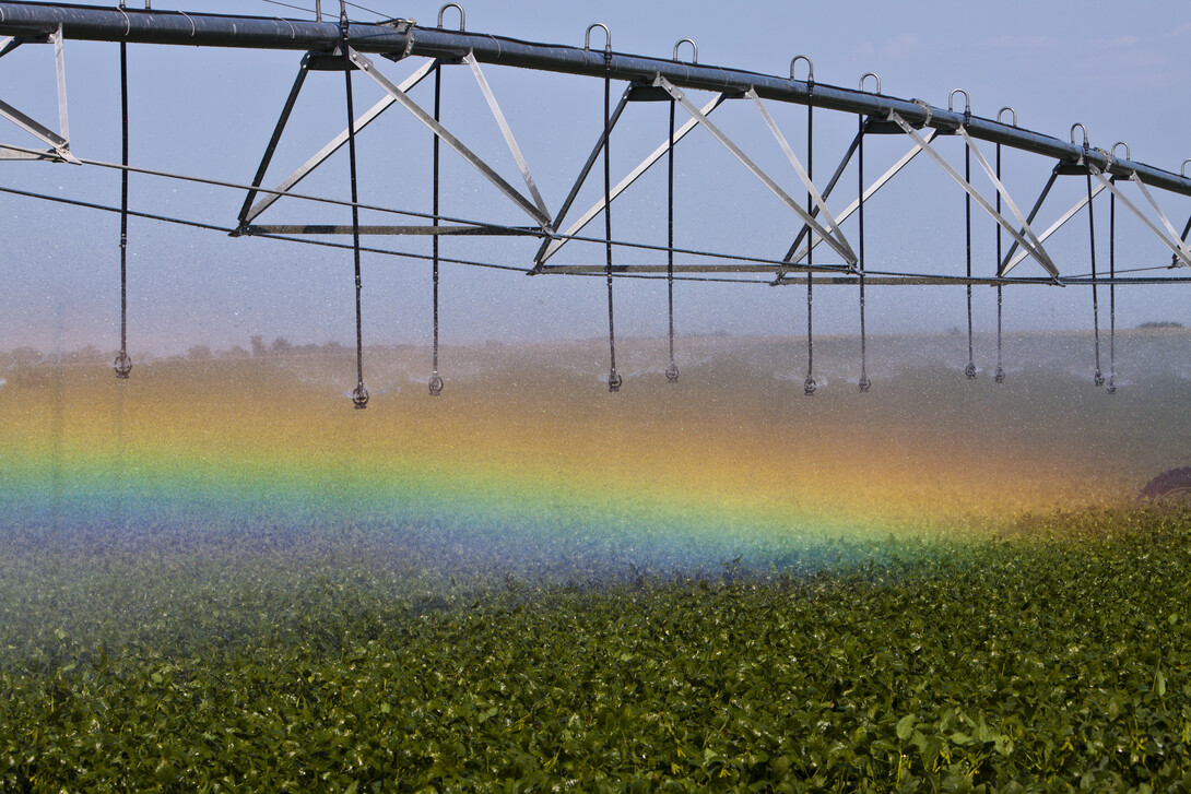 Soybean field south of Center City, Nebraska under irrigation. Rainbow caused by late afternoon sun hitting spray. 