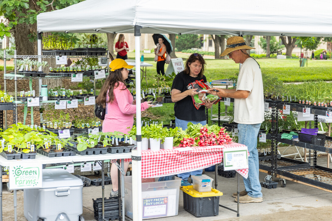 A woman buys produce from Gary Fehr, owner of Green School Farms out of Raymond, Neb., at the East Campus Discovery Days farmers market. 