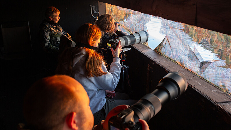 photographers in duck blind