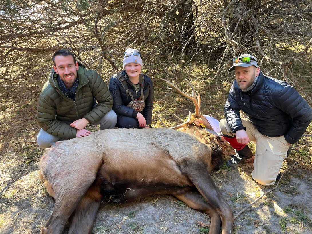 Jake Harvey (left), Tabitha Hughes (center) and John Benson tag an elk during elk captures in February 2025.