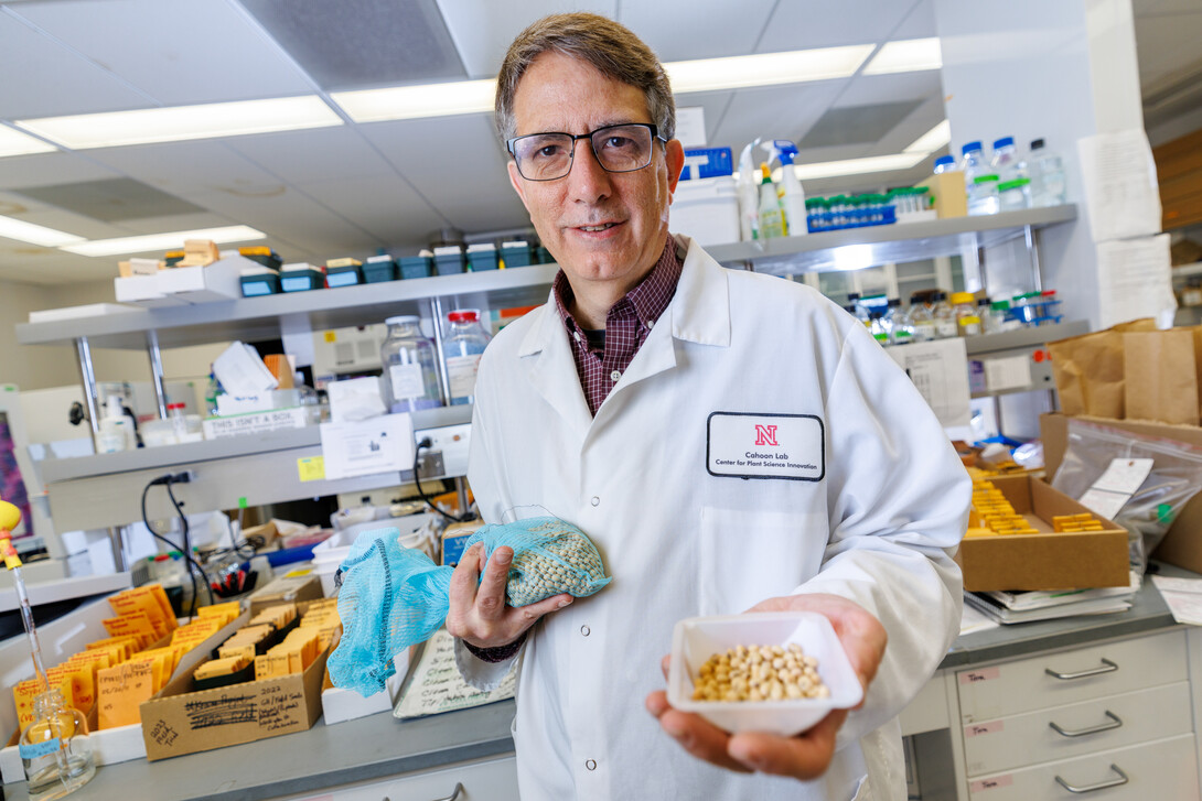 Edgar Cahoon, George Holmes Professor of Biochemistry and Director of the University’s Center for Plant Science Innovation, has been named a fellow of the National Academy of Inventors. Cahoon holds soybeans that are engineered for aquaculture feed traits inside his Beadle Hall lab. December 6, 2024. Photo by Jordan Opp / University Communication and Marketing.”