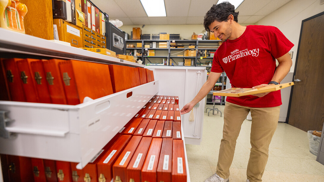 Kevin Lievano searches for an item in the parasite collection in the Harold W. Manter Laboratory of Parasitology.