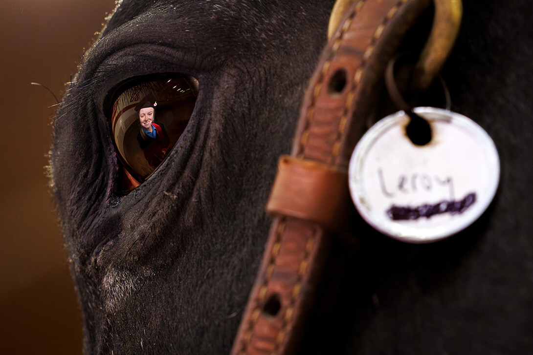 A reflection of Izzi Velinsky is seen in an up-close photo of a horse's eye.