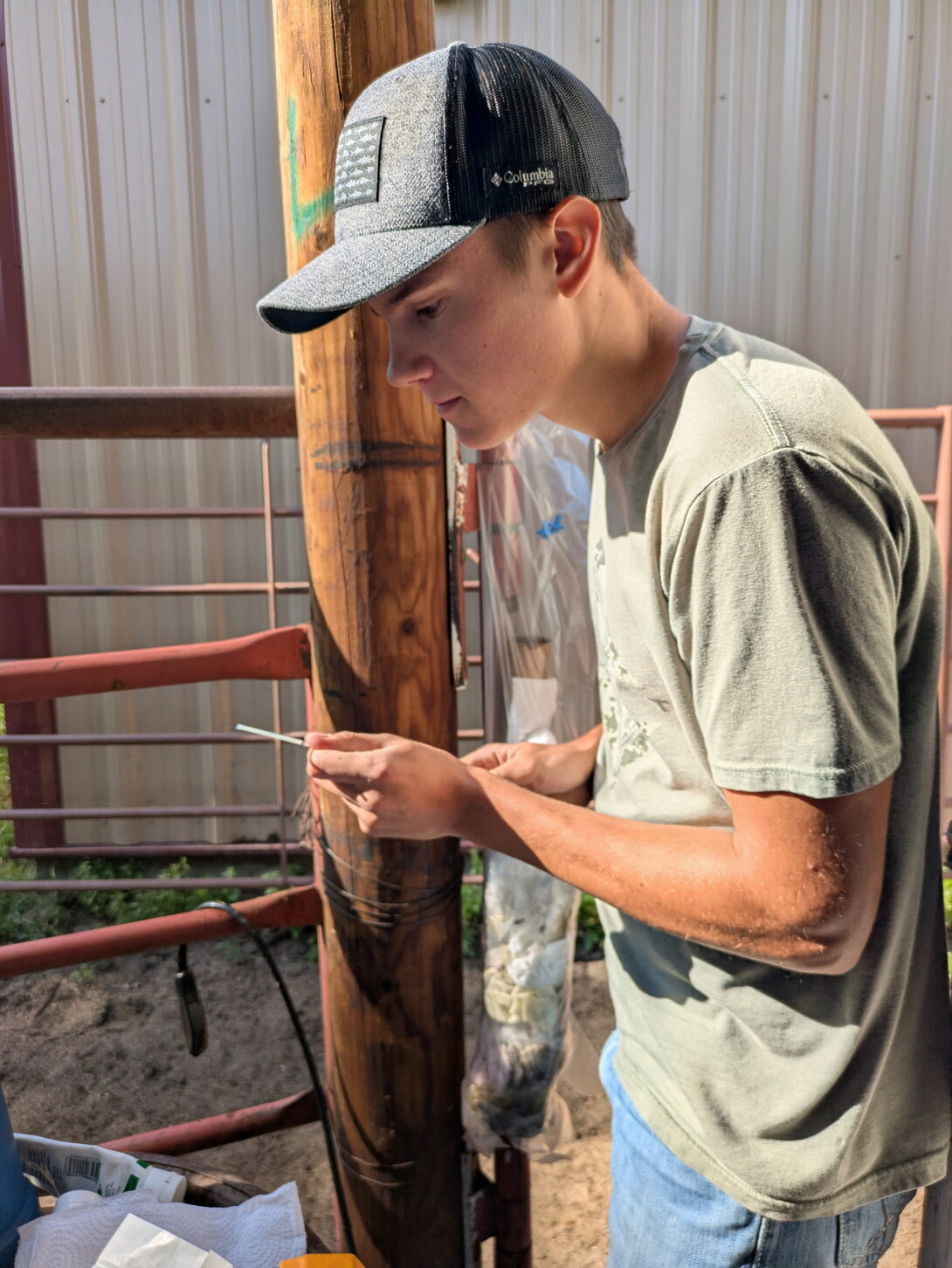 Cameron Berliner